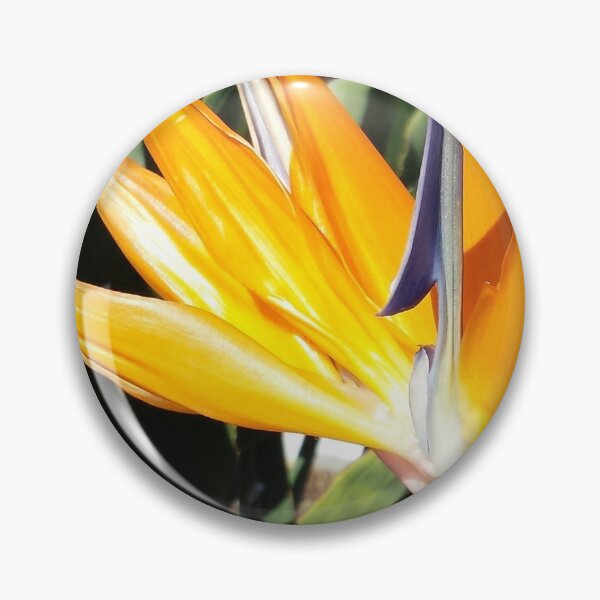 Item preview, Bird of Paradise (Photography:Unfiltered) designed and sold by Lori Ackley.