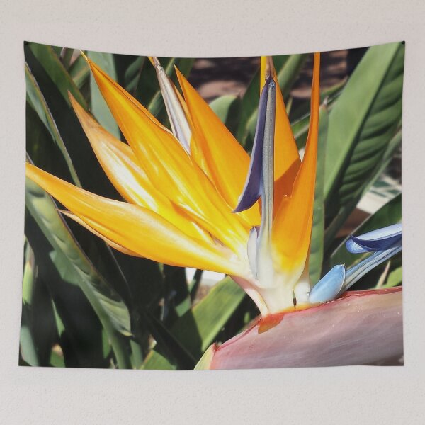 Item preview, Bird of Paradise (Photography:Unfiltered) designed and sold by Lori Ackley.