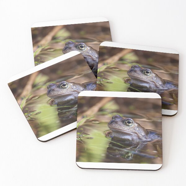 Item preview, English Country Frog designed and sold by Roz Goodman.