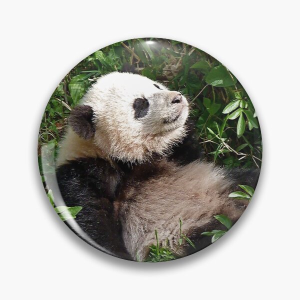 Item preview, Bao Bao tomando el sol designed and sold by andrew82984.