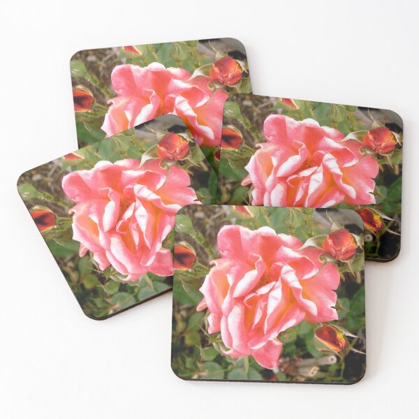Item preview, Pink Rose and buds designed and sold by Shulie1.
