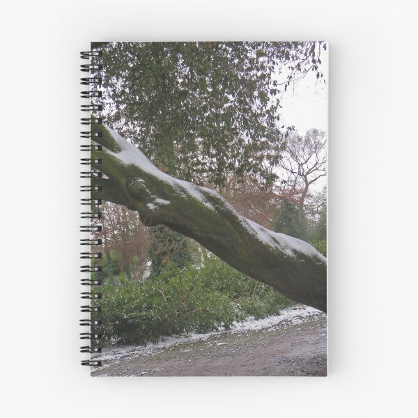 Item preview, Snow covered tree in the park designed and sold by Sandra Willis.