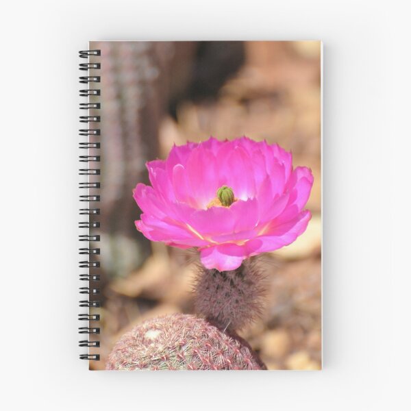 Item preview, Startling Pink designed and sold by Kathleen Brant.