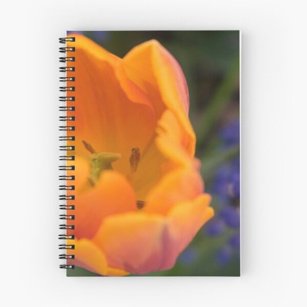 Item preview, Spring Bulbs designed and sold by Foxy-and-Floral.