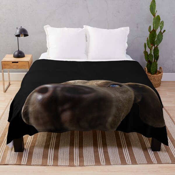 Item preview, Cute and funny brown dog called Eddie, on black background. designed and sold by AylaHarbich.