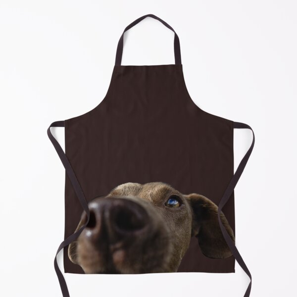 Item preview, Cute and funny brown dog called Eddie, on black background. designed and sold by AylaHarbich.