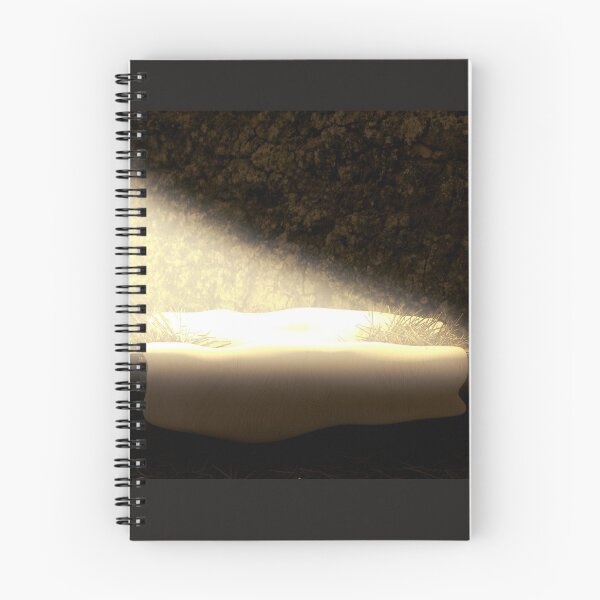 Item preview, Empty manger with ray of light (Isaiah 7:14) designed and sold by Vincenzo Lo Palo.
