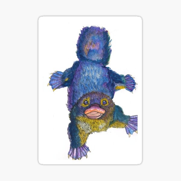 platypus Sticker
