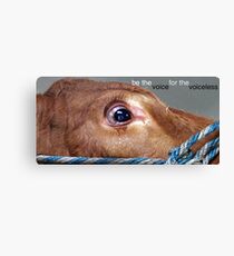 Be The Voice For The Voiceless Canvas Print