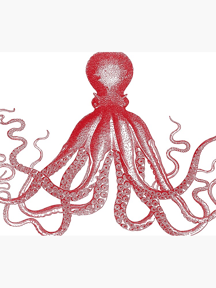 Discover Octopus | Vintage Octopus | Tentacles | Sea Creatures | Nautical | Ocean | Sea | Beach | Red and White | Shower Curtain