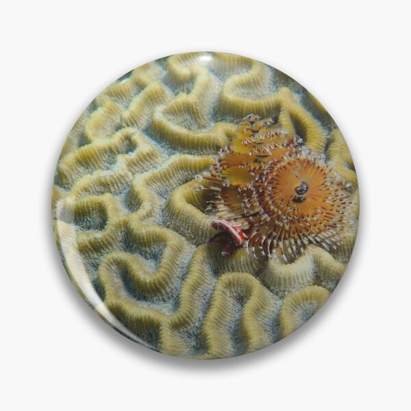 Item preview, Undersea party designed and sold by Mama-Joe.