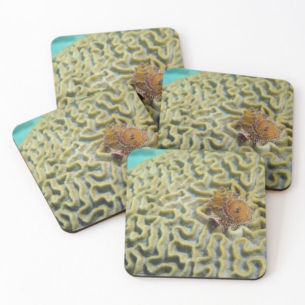 Item preview, Undersea party designed and sold by Mama-Joe.