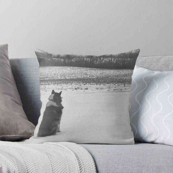 Item preview, Keeping Watch (Photography) designed and sold by Lori Ackley.