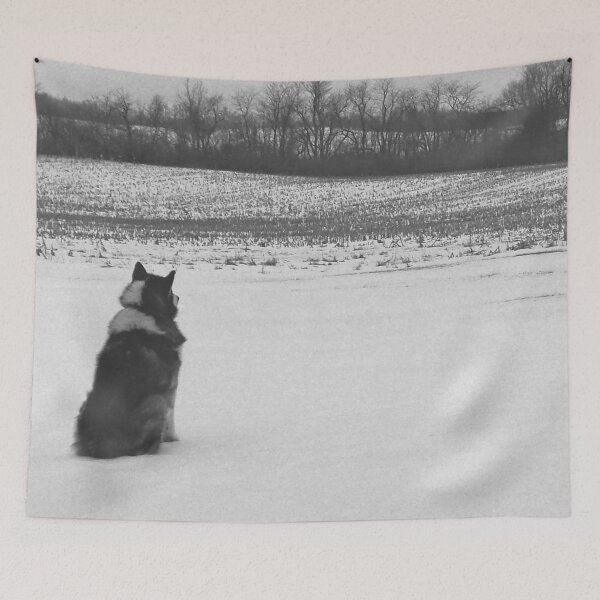 Item preview, Keeping Watch (Photography) designed and sold by Lori Ackley.