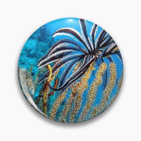 Item preview, Featherstar designed and sold by Maree Toogood.