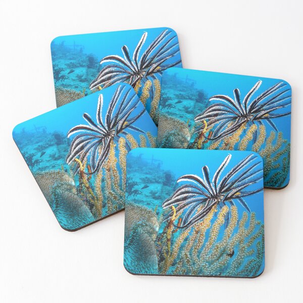 Item preview, Featherstar designed and sold by Maree Toogood.