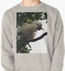 Sulphur Crested Cockatoo Pullover