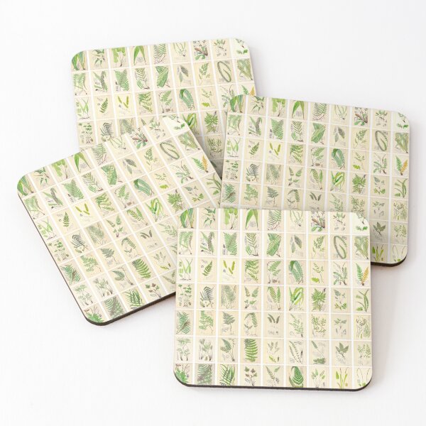 Item preview, Ferns, Old Historic Botanical Drawings in a Poster (Landscape) designed and sold by Michael Dietrich.