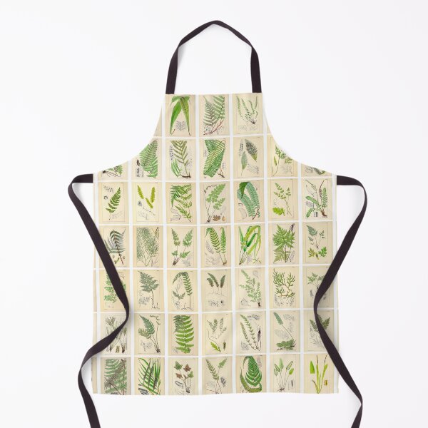 Item preview, Ferns, Old Historic Botanical Drawings in a Poster (Landscape) designed and sold by Michael Dietrich.