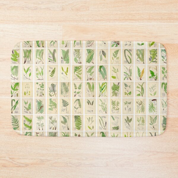 Item preview, Ferns, Old Historic Botanical Drawings in a Poster (Landscape) designed and sold by Michael Dietrich.