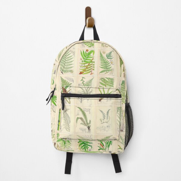 Item preview, Ferns, Old Historic Botanical Drawings in a Poster (Landscape) designed and sold by Michael Dietrich.