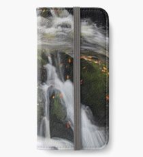 Cascades iPhone Wallet/Case/Skin