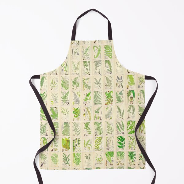 Item preview, Ferns, Old Historic Botanical Drawings in a Poster (Portrait) designed and sold by Michael Dietrich.