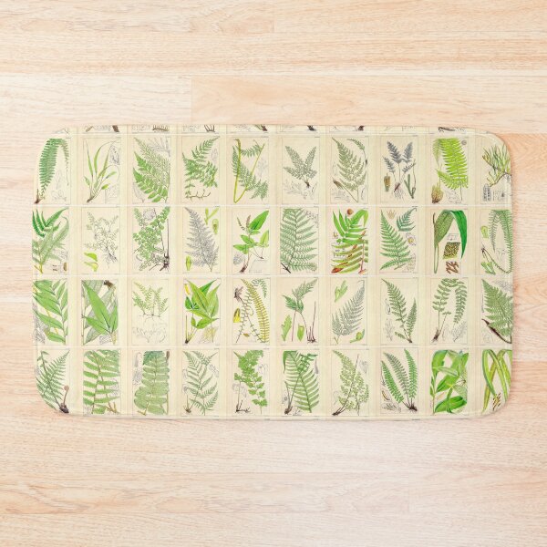 Item preview, Ferns, Old Historic Botanical Drawings in a Poster (Portrait) designed and sold by Michael Dietrich.