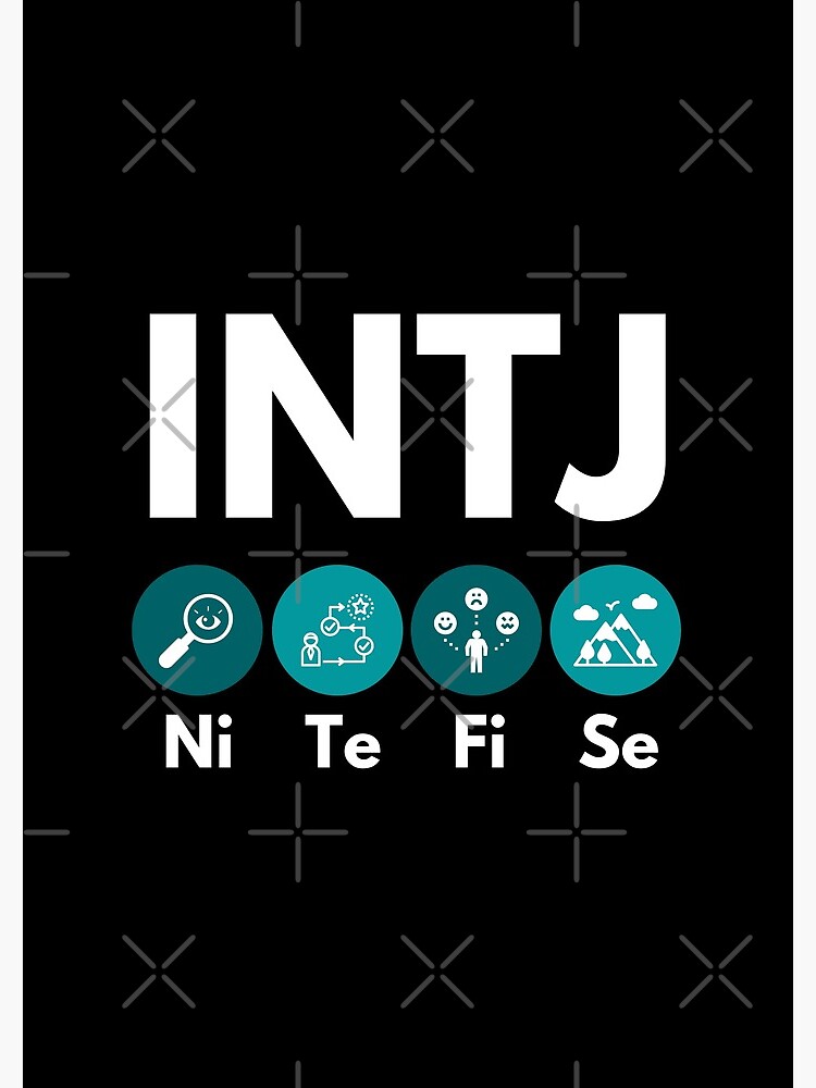 The INTJ Mind (guest post) - INTJ vision