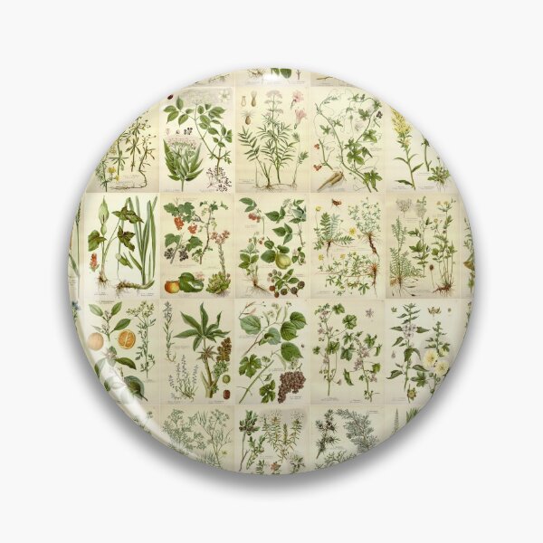 Item preview, Old historic botanical drawings of herbs (landscape) designed and sold by Michael Dietrich.