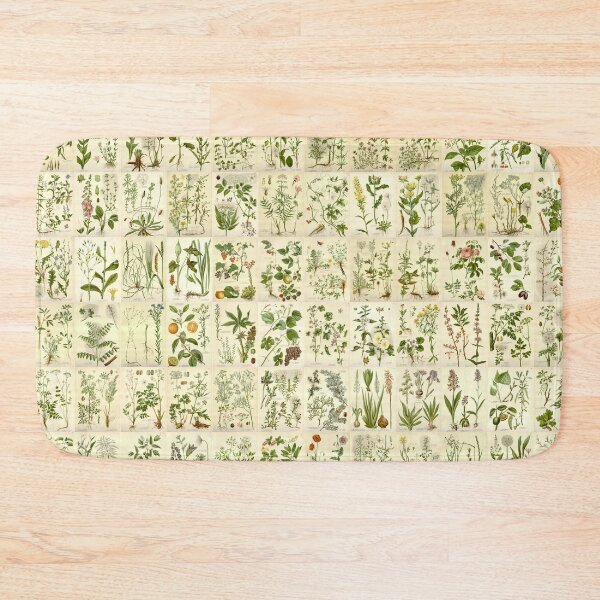 Item preview, Old historic botanical drawings of herbs (landscape) designed and sold by Michael Dietrich.