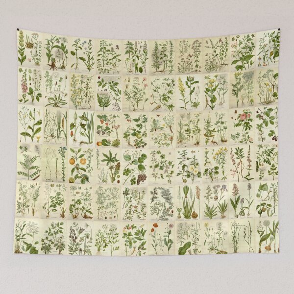 Item preview, Old historic botanical drawings of herbs (landscape) designed and sold by Michael Dietrich.