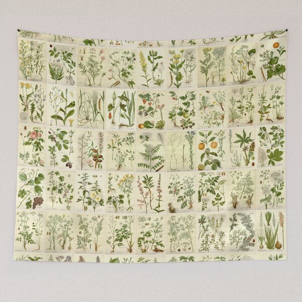 Item preview, Old historic botanical drawings of herbs (portrait) designed and sold by Michael Dietrich.