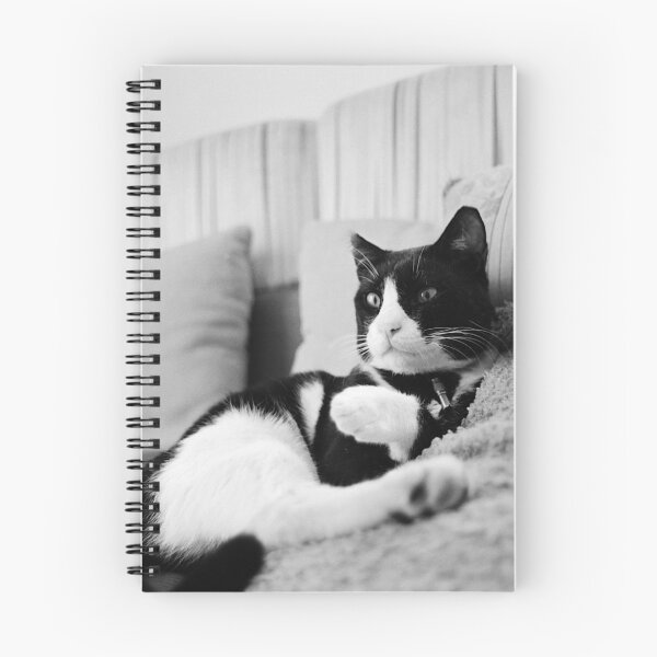 Item preview, A Conscious Cat designed and sold by Benjamin Fauvel.