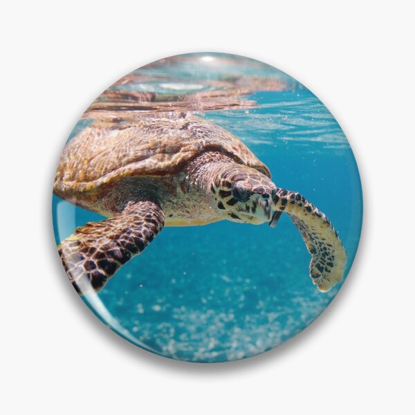 Item preview, swimming Turtles love! designed and sold by AllureVisions.