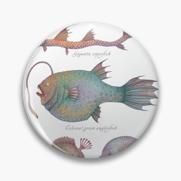 Item preview, Sea life specimens - Deep Sea Fish designed and sold by Cabinet Of Curiosities by Vlad.