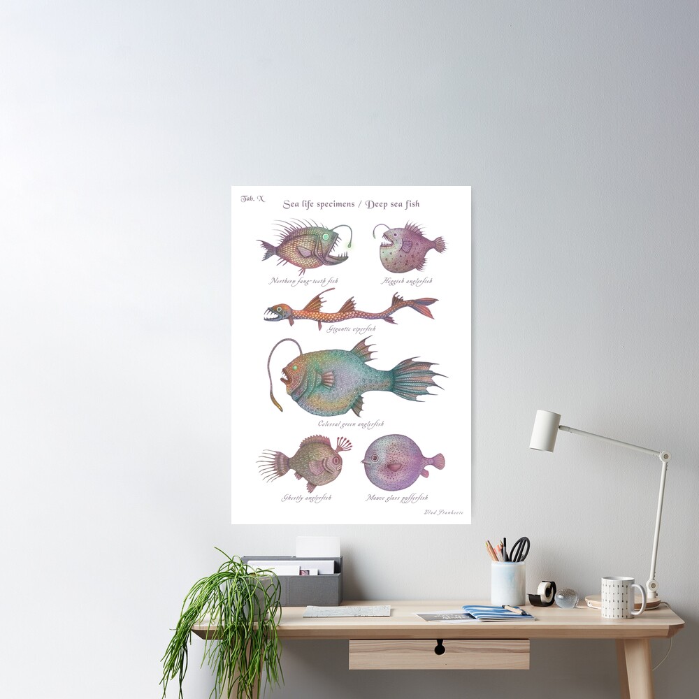 Sea life specimens - Deep Sea Fish Poster for Sale by Vlad