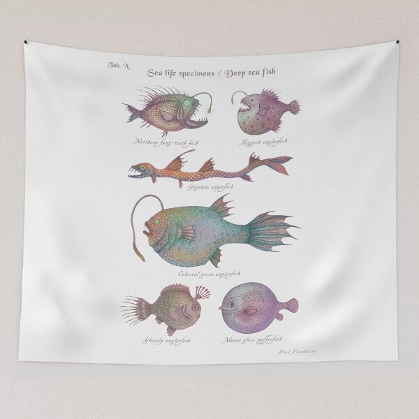 Item preview, Sea life specimens - Deep Sea Fish designed and sold by Cabinet Of Curiosities by Vlad.