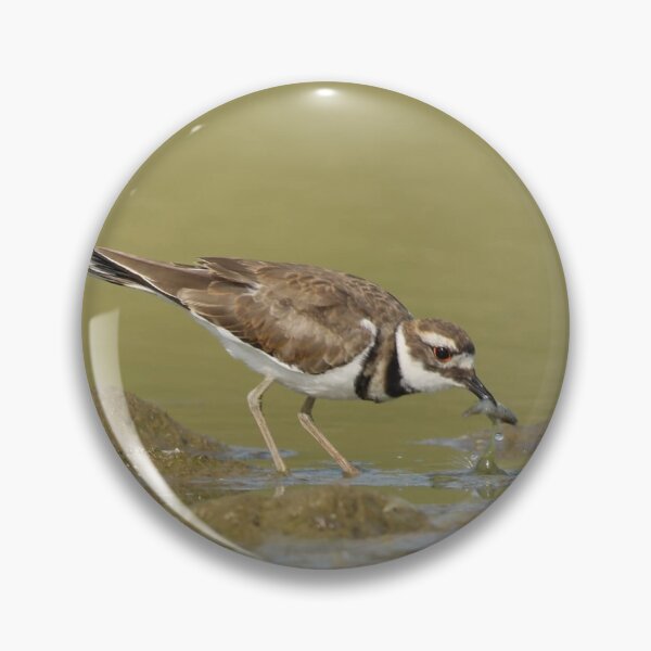Item preview, Killdeer hunt designed and sold by KimhengFineArt.