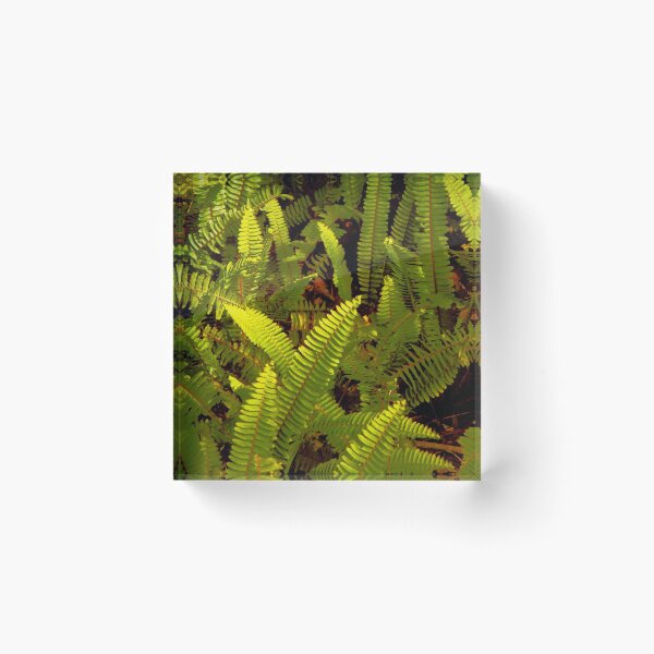 Item preview, Green Ferns on the Forest Floor  designed and sold by Anthony Macaluso.