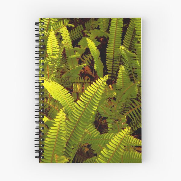 Item preview, Green Ferns on the Forest Floor  designed and sold by Anthony Macaluso.