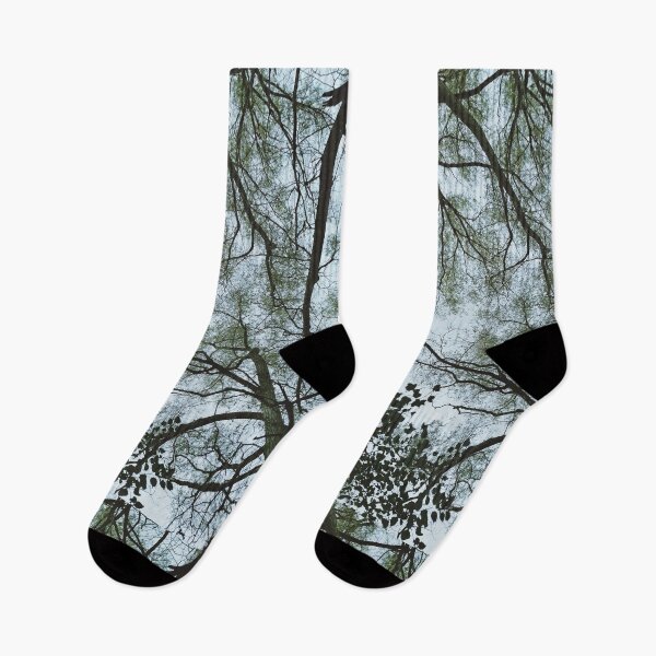 Item preview, Spring Time Forest Canopy designed and sold by 10pmCreations.