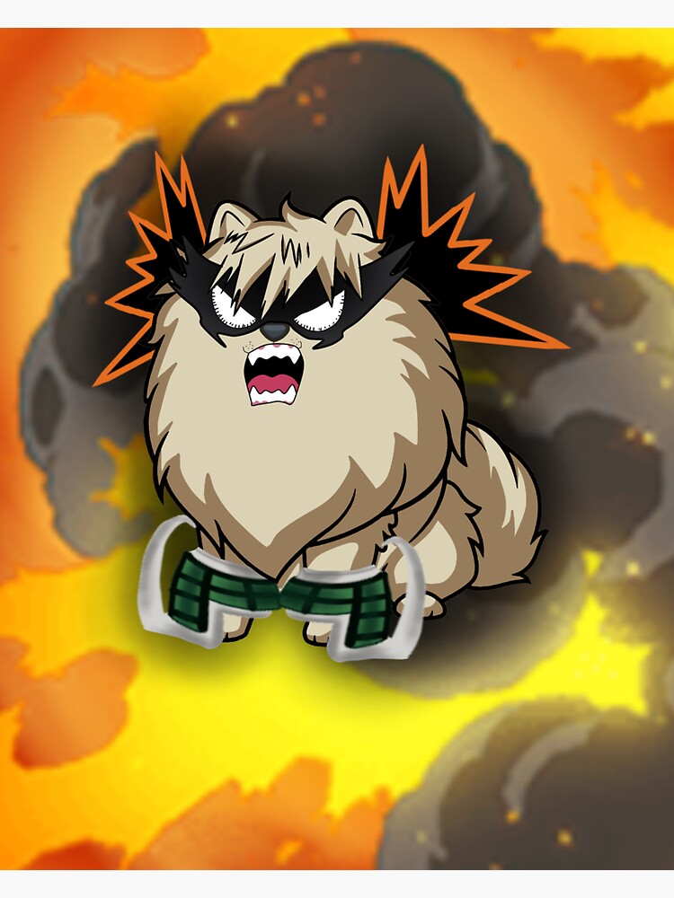 "Bakugo, The Angry Pomeranian " Sticker by StereotypeGabs | Redbubble