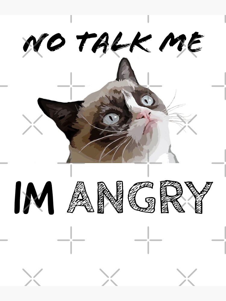 Angry Cat  Me Myself & I