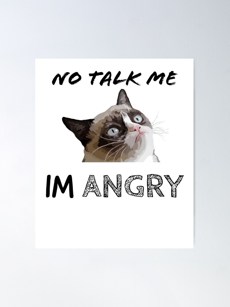 Funny Angry Cat Meme | Poster