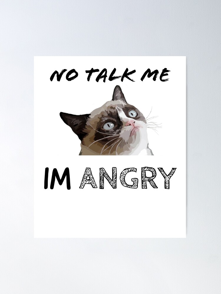 No Talk Me I'm Angry ,cute cat , angry cat , kitty' Sticker