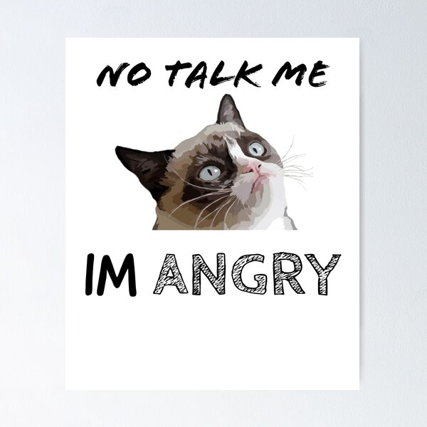  Angry cat meme grumpy Tank Top : Clothing, Shoes & Jewelry