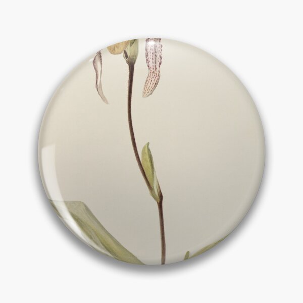 Item preview, Reichenbachia: Orchids Illustrated and Described designed and sold by EsotericBotanic.