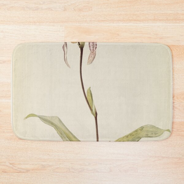 Item preview, Reichenbachia: Orchids Illustrated and Described designed and sold by EsotericBotanic.