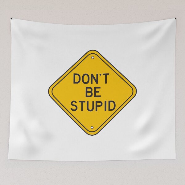 Item preview, hilarious road signs Don't be stupid designed and sold by TheFlipRepublic.